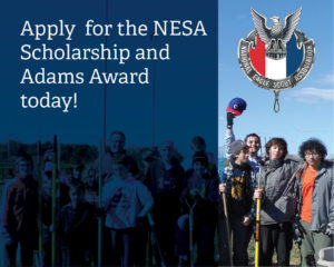 Image result for nesa adams award